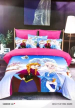 4 by 6 Kids Cartoon Themed Duvet Set 3 Piece – Frozen 2