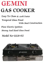 2-Burner Gas Cooker with Glass Top