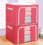 Closet Organizers And Storage Bags