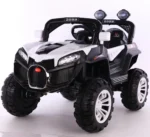 Kids Ride On Electric Car Two-Seater