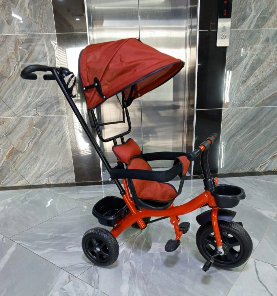 Kids Tricycle Bike with Canopy & Push Handle