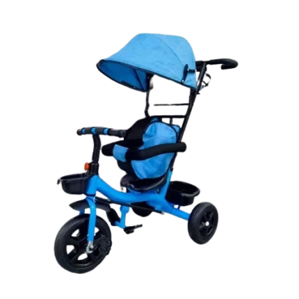 Kids Tricycle Bike with Canopy & Push Handle