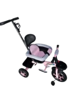 Kids Tricycle Bike with Protective Side Bar & Push Handle