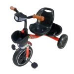 Kids Tricycle Bikes
