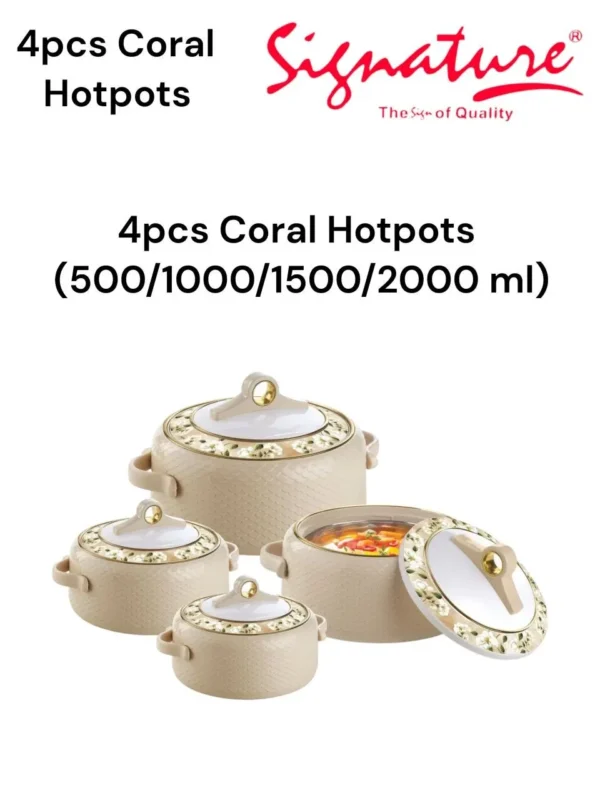 4 Piece Coral Hotpot Set