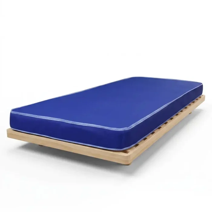 2.5ft by 6ft 3 Inch Durable Foam School Mattress | Smart Enterprise
